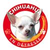 Logo of the association Association chihuahua en détresse